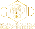 Public appearance with logo Mastino Napoletano Guard of the District.