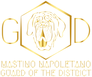 Mastino Napoletano