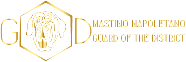 Mit Herz und Verstand Mastino Napoletano Zucht Guard of the District. ›